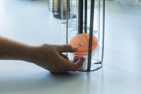 Labortechniker legt Probe in Rack, lizenzfreies Stockfoto