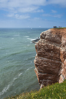 Deutschland, Insel Helgoland, Basstölpelkolonie - RUNF01367