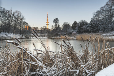 Deutschland, Hamburg, Park Planten un Blomen an einem Wintermorgen - KEBF01201