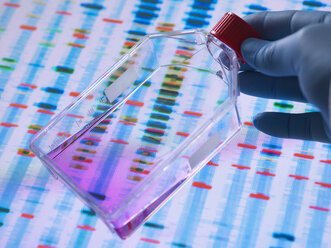 Gentechnik, Wissenschaftler betrachtet Zellen in einem Kulturgefäß mit einem DNA-Profil auf einem Bildschirm im Hintergrund, das die Genbearbeitung veranschaulicht - ABRF00335