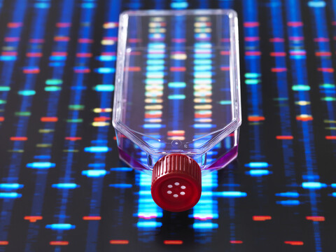 Genetic Engineering, culture jar with a DNA profiles on a screen in the background, illustrating gene editing stock photo