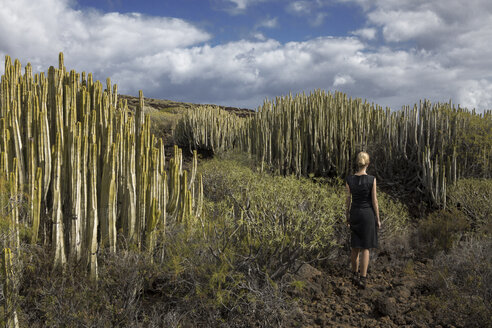 Spanien, Teneriffa, Malpais de Guimar, Frau in vulkanischer Landschaft mit Kakteen - PSTF00309