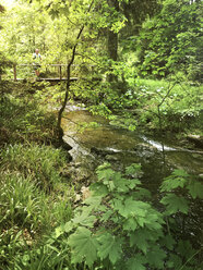 Belgien, Hohes Venn, Mann, Wanderer auf Brücke stehend - GWF05885