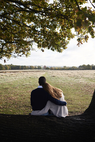 Rückansicht eines sich umarmenden Paares auf einem Baumstamm in einem Park, lizenzfreies Stockfoto