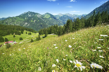 Deutschland, Bayern, Oberallgäu, Blick vom Imberger Horn - ALEF00102