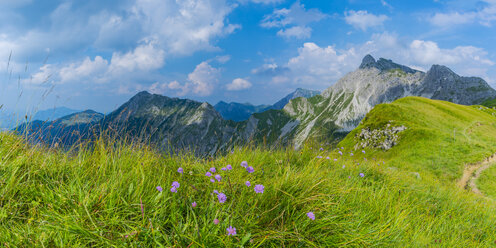 Deutschland, Bayern, Allgäu, Allgäuer Alpen, Armeria alpina Blumen, Panoramablick - WGF01301