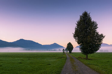 Deutschland, Bayern, Oberbayern, bei Benediktbeuern, Morgenstimmung - LHF00604