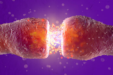 3D Rendered Illustration, visualisation of neurons firing neurotransmitters in the synaptic gap - SPCF00351