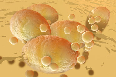 3D Rendered Illustration, visualisation of fat cells clogging together in the human body - SPCF00353
