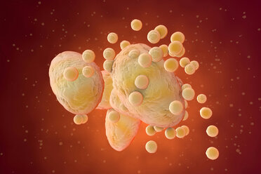 3D Rendered Illustration, visualisation of fat cells clogging together in the human body - SPCF00354