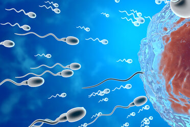 3D gerenderte Illustration, Visualisierung von Spermien, die zu einer Eizelle rasen, um sie zu befruchten - SPCF00357