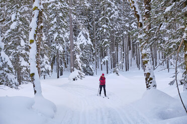 Austria, Tirol, Riss Valley, Karwendel, cross country skier in winter landscape - MRF01915