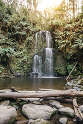 Malerischer Blick auf einen Wasserfall im Wald - CAVF60666