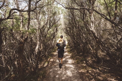 Rückansicht eines Wanderers mit Rucksack und Strohhut inmitten von Bäumen im Wilsons Promontory National Park - CAVF60681