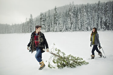 Freund schaut seine Freundin an, während er eine Kiefer auf einem schneebedeckten Feld im Wald zieht - CAVF60733