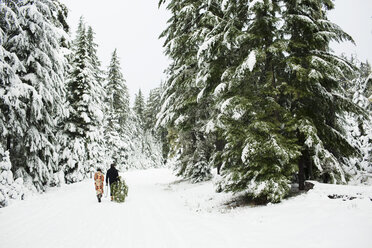 Rückansicht eines Paares mit Tanne, das auf einem verschneiten Feld im Wald spazieren geht - CAVF60735