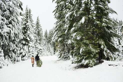 Rear view of couple with pine tree walking on snow covered field in forest - CAVF60735