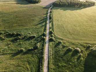 Luftaufnahme einer leeren Straße inmitten einer grünen Landschaft an einem sonnigen Tag - CAVF60745