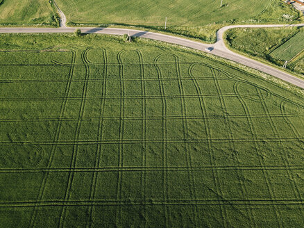 Luftaufnahme einer Agrarlandschaft an einem sonnigen Tag - CAVF60746