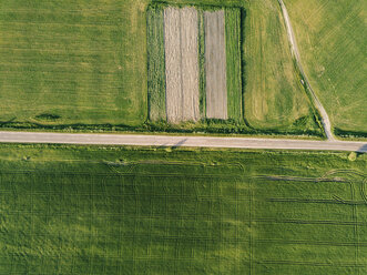 Luftaufnahme einer leeren Straße inmitten einer Agrarlandschaft an einem sonnigen Tag - CAVF60748