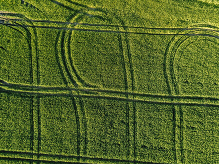 Luftaufnahme eines grünen landwirtschaftlichen Feldes an einem sonnigen Tag - CAVF60749