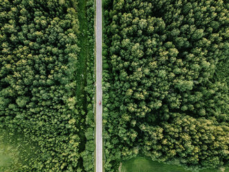 Luftaufnahme einer Straße inmitten von Bäumen, die im Wald wachsen - CAVF60752