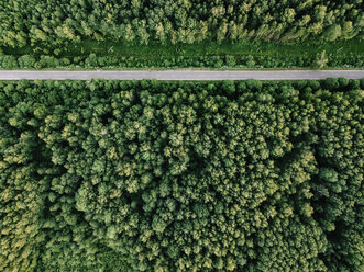 Luftaufnahme einer leeren Straße inmitten von Bäumen, die im Wald in Russland wachsen - CAVF60753