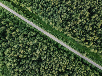 Luftaufnahme einer leeren Straße inmitten von Bäumen in einem Waldgebiet - CAVF60754