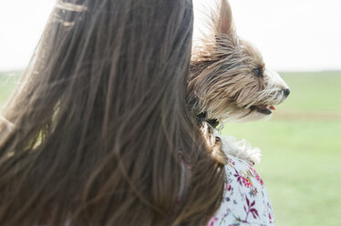 Rückansicht eines Mädchens im Teenageralter mit Yorkshire Terrier auf einem Feld an einem sonnigen Tag - CAVF60780