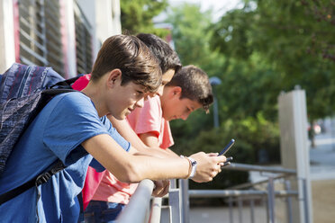 Seitenansicht von Freunden, die Smartphones benutzen, während sie an einem sonnigen Tag an einem Geländer gegen Bäume stehen - CAVF60855