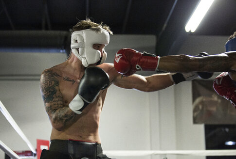 Boxer kämpfen im Boxring in der Turnhalle - CAVF60925