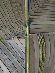 Aerial view of agricultural landscape at Bali - CAVF60977