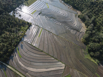 Aerial view of patchwork landscape at Bali - CAVF60978