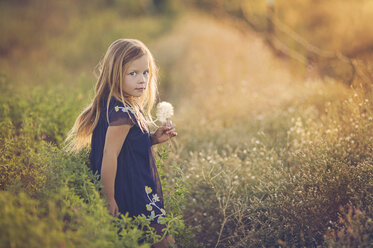 Seitenansicht Porträt eines Mädchens, das Löwenzahn hält, während es inmitten von Pflanzen auf einem Feld bei Sonnenuntergang steht - CAVF61001