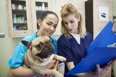 Female veterinarian and assistant examining dog in veterinary surgery - ABIF01212