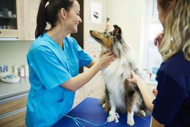 Female veterinarian and assistant examining dog in veterinary surgery - ABIF01219