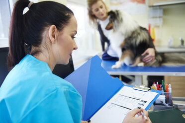 Female veterinarian reading medical documents of a dog in veterinary surgery - ABIF01223