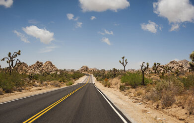 Leere Straße in der Wüste gegen den Himmel im Joshua Tree National Park - CAVF61231