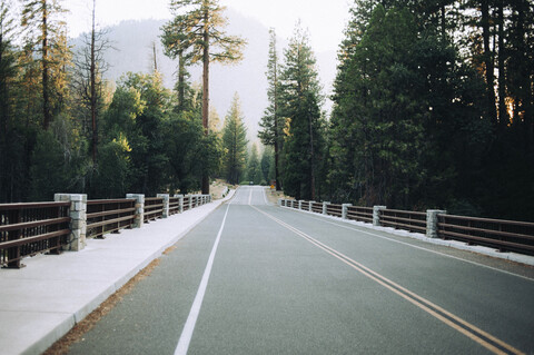 Leere Straße inmitten von Bäumen im Wald des Kings Canyon National Park, lizenzfreies Stockfoto