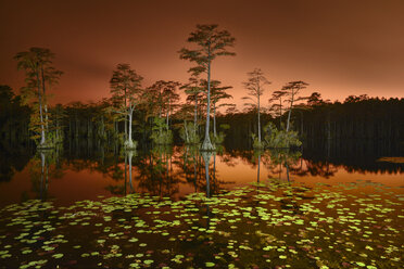 Blick auf den Cypress Lake mit Bäumen gegen den Himmel bei Sonnenuntergang - CAVF61245