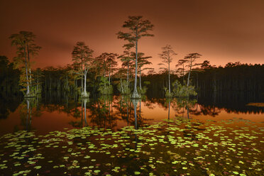 Scenic view of Cypress Lake with trees against sky during sunset - CAVF61245