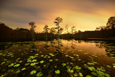 Ruhiger Blick auf den Cypress Lake mit Bäumen vor dramatischem Himmel bei Sonnenuntergang - CAVF61246