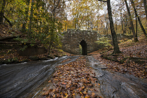 Poinsett-Brücke bei Bäumen im Wald - CAVF61266