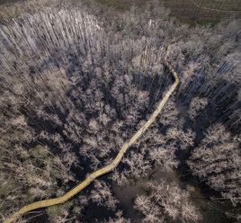 Luftaufnahme einer hölzernen Fußgängerbrücke inmitten von Bäumen über dem Sumpf im Pine Log State Forest - CAVF61274