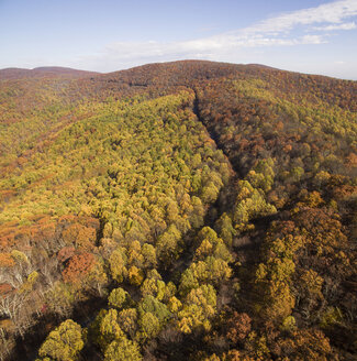 Luftaufnahme des Waldes im Shenandoah National Park im Herbst - CAVF61285