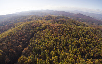 Luftaufnahme von Wald und Bergen im Shenandoah National Park im Herbst - CAVF61286