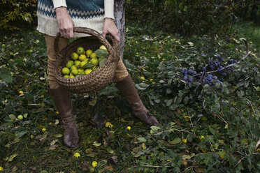 Low section of woman holding lemons in wicker basket while standing on field at yard - CAVF61321