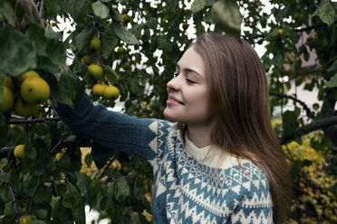 Lächelnde Frau pflückt Zitronen vom Baum, während sie im Garten steht - CAVF61325