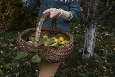 Midsection of woman holding lemons in wicker basket while standing on field at yard - CAVF61326