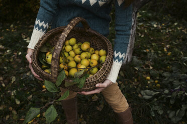 Midsection of woman holding wicker basket with lemons while standing on field at yard - CAVF61327